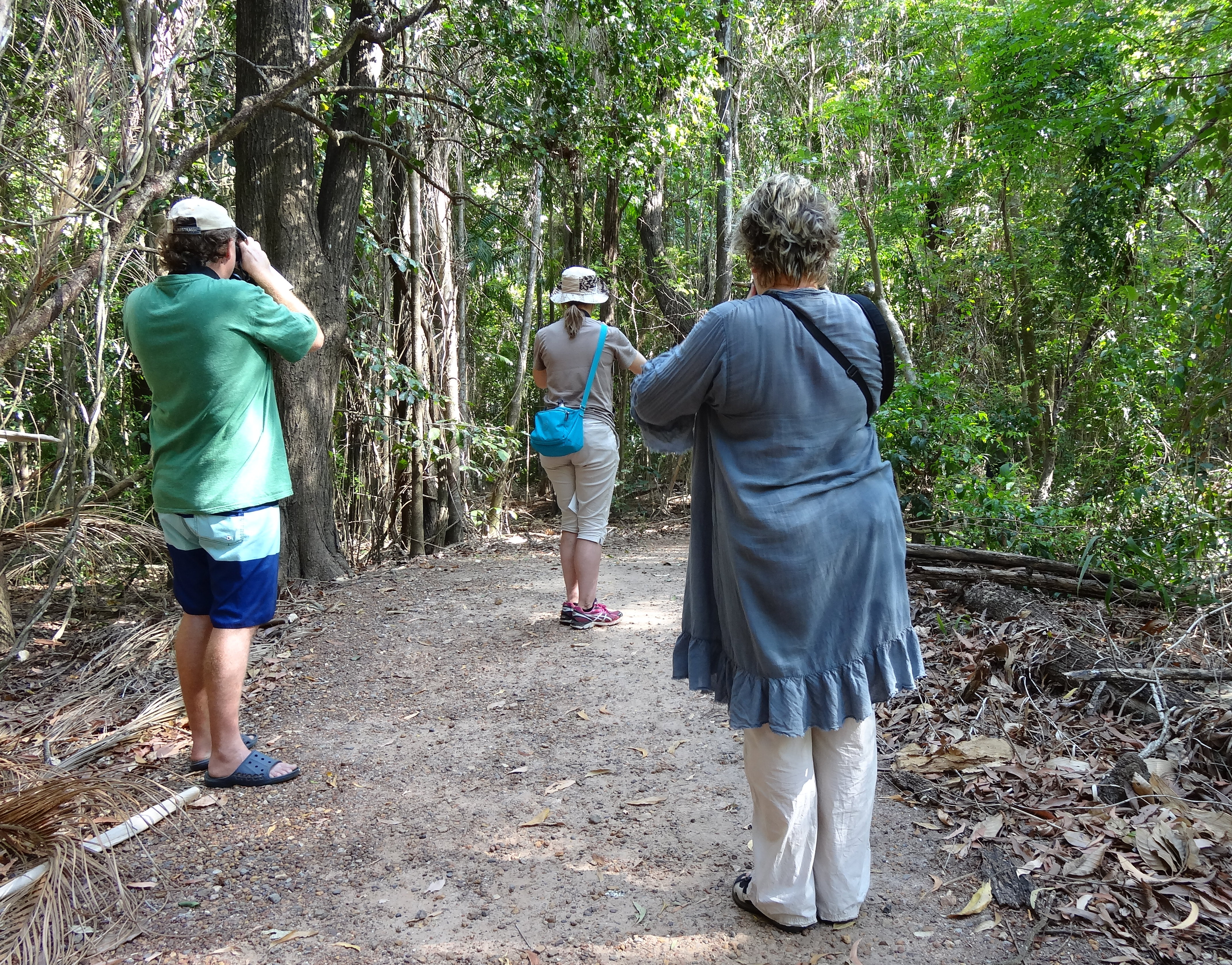 Watch Birds in End - Howard Springs Nature Park