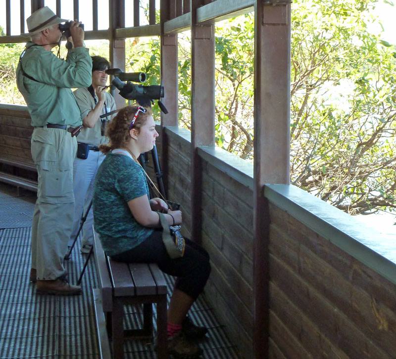 Mamukala Birdhide © Jonathan Fink